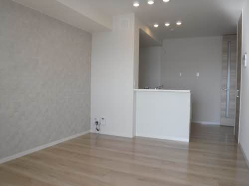 メゾン・ド・プルミエール 0303号-2