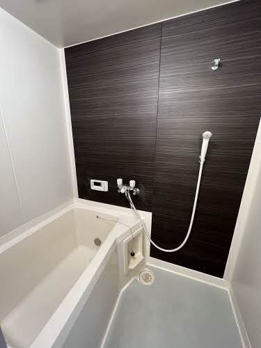 ＬａＶｉｅ３８ C203号-6