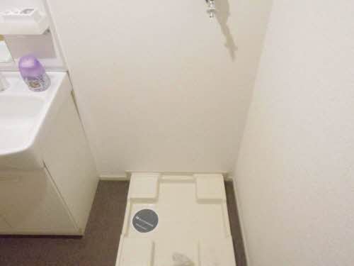 ボヌールシス 0204号-11