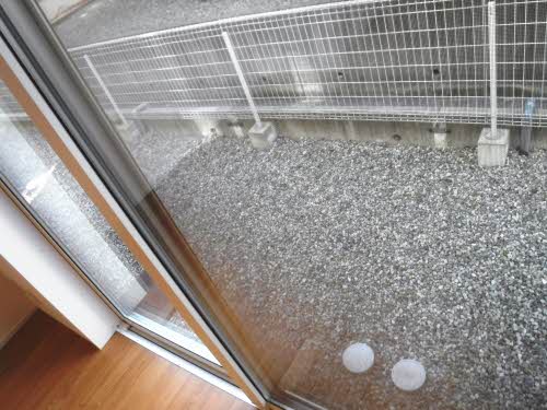 プレミアス町新Ⅱ 0106号-5