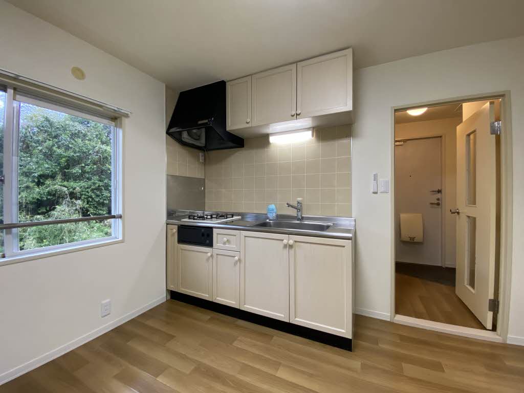 メゾン城ヶ崎 0201号-4