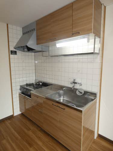 ドリームフェアリー 0103号-3