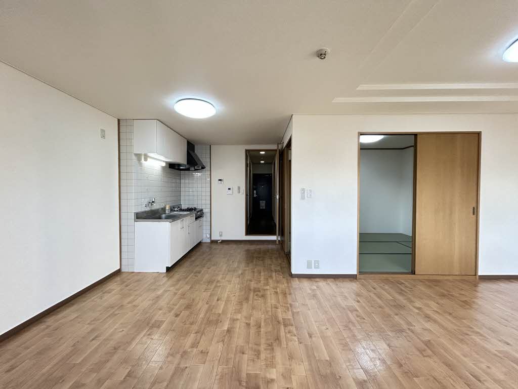 ドリームフェアリー 0202号-2