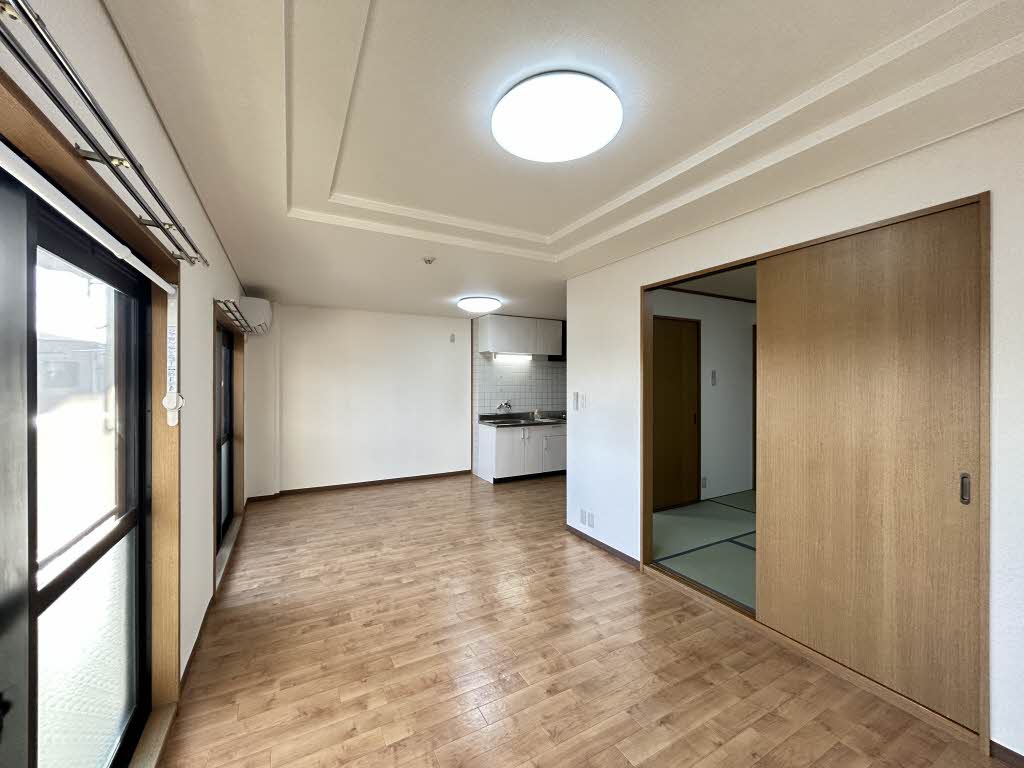 ドリームフェアリー 0202号-4