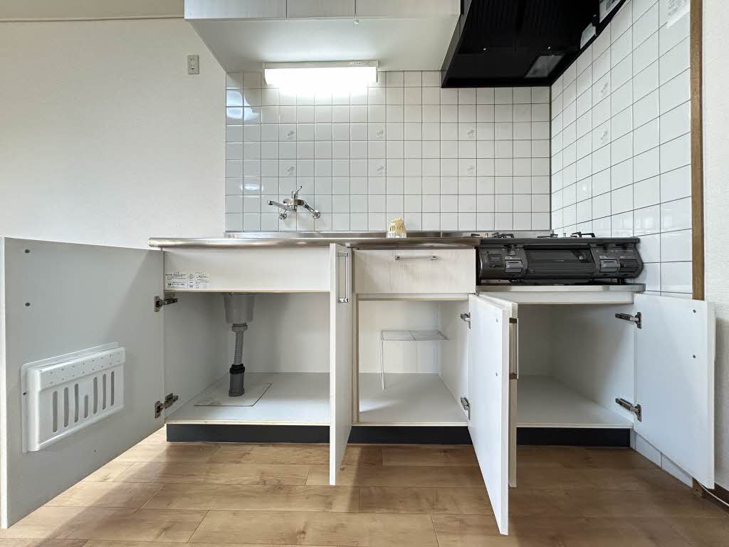 ドリームフェアリー 0202号-6