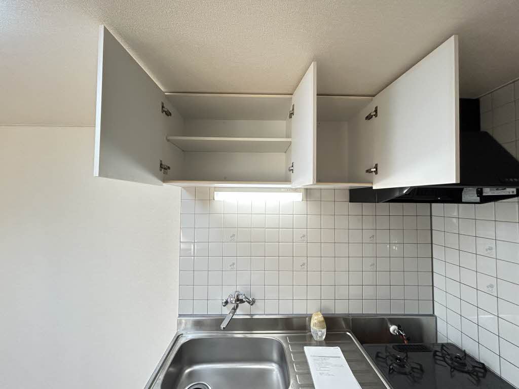 ドリームフェアリー 0202号-7