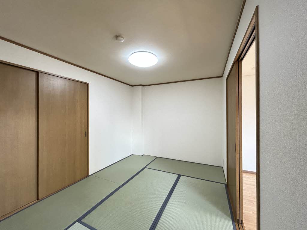 ドリームフェアリー 0202号-9