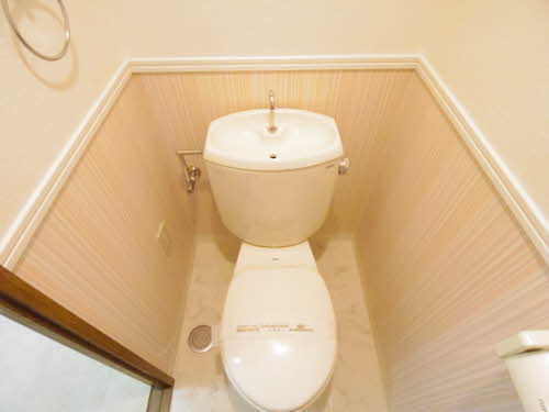 シャンフレ 0101号-12