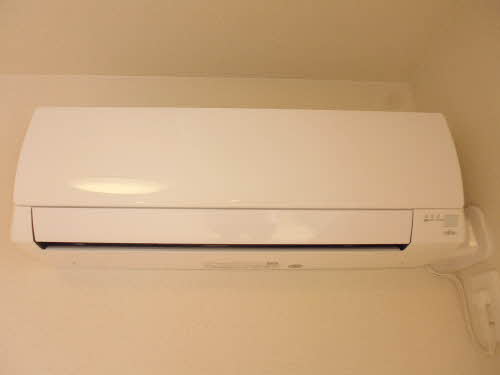 ＰＵＥＲ　ＥＴ　ＰＵＥＬＬＡ 0106号-11