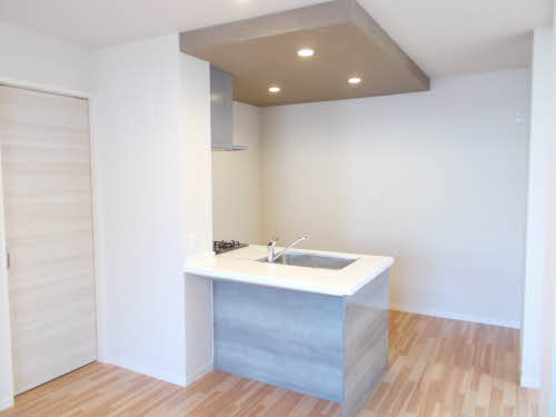 FEATHER・SQUARE NORTH 0203号-3
