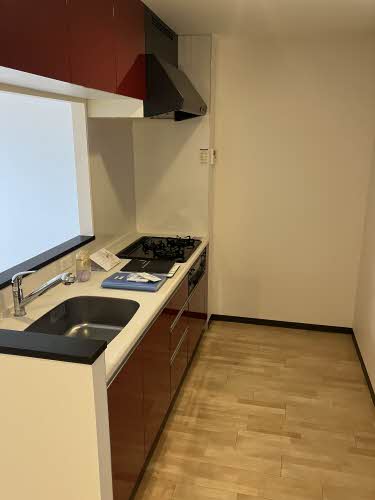 フェリース 0203号-6