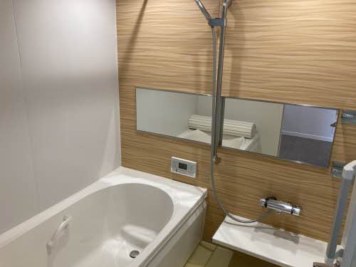 Ｌａｃｈｉｃ（ラシック） 0201号-9