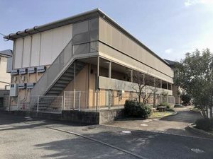 クローバの森 A0206号-14