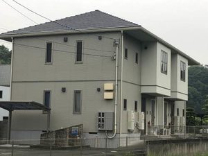 ドルフィンハウス