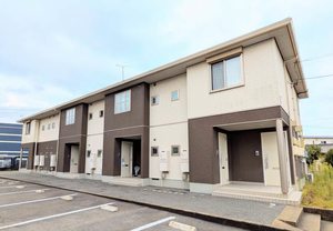 シャーメゾン際波　Ｃ棟 C0101号-1