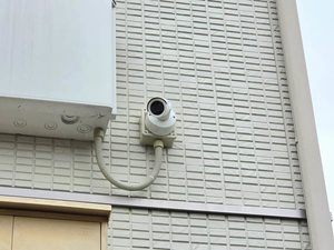 チェルシー A0202号-12