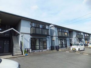 トリコローレ　Ｂ B0105号-1