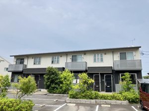 ドムースｆｉｆｔｙ