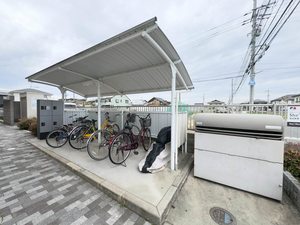 パーシモン A0205号-15