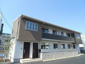 ヴィアソーレ松の木