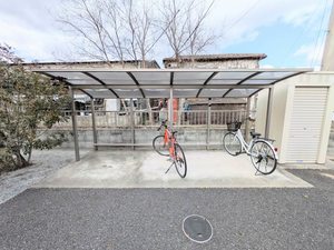 シャイン A0201号-15