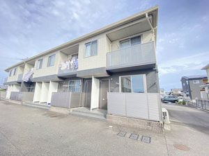 アプリコット　Ⅱ 205号-1