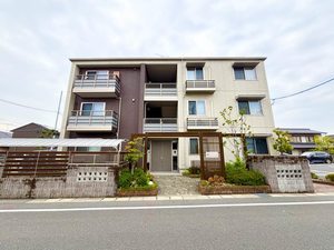 クオレール A0103号-1