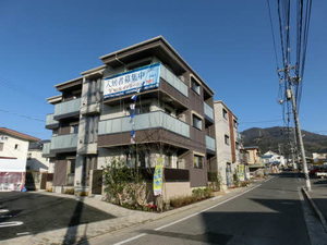 Ｏａｋ　Ｆｏｒｅｓｔ