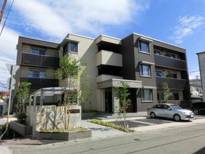 ベレオ　プルミエ