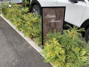 Little Moon A0201号-5