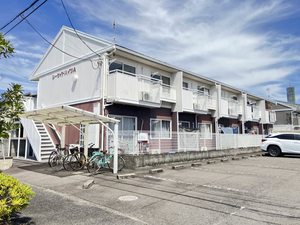 シーサイド・ハイツ　Ａ棟 A0203号-1