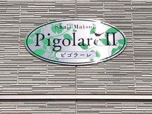 ピゴラーレⅡ B0101号-13