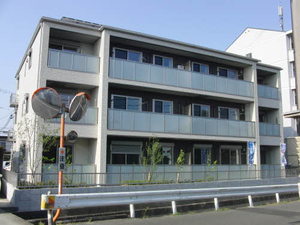 デイジー　ヒル A0305号-1