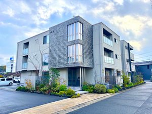 マグノリア　カリーノ