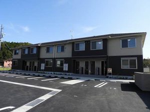 ＳｈａＭａｉｓｏｎ　γ