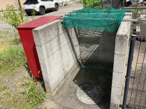 アプリコット B0103号-15
