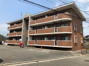 ＧＲＡＣＥエヌエス A0301号-1