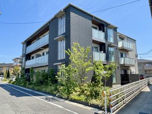 シャイン A0305号-1