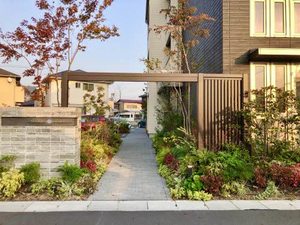 シャイン A0305号-13