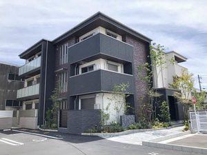 エイラント大福 A0305号-1