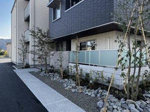 ベレオ北矢三【ＢＥＬＳ認証】 203号-5