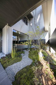 ＨＩＲＡ　ＴＥＲＲＡＣＥ A0207号-5