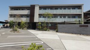 アルフラット　サクラ A0203号-1