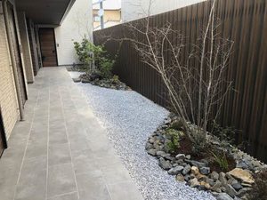 アルフラット　サクラ A0206号-5