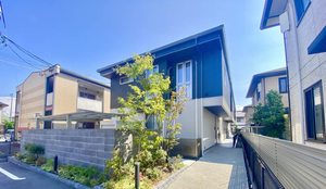 ジョリカⅦ A0105号-1