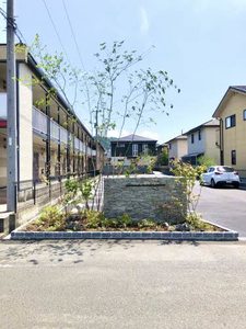 ジョリカⅦ A0105号-13