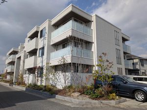 アドバンス A0105号-1