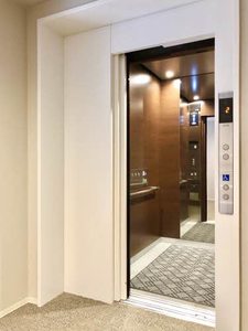 トリフォリア A0105号-14