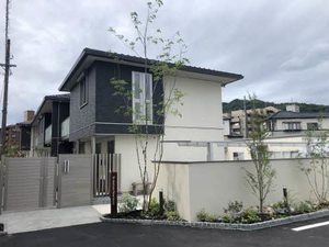 ラ　メゾン　ウールゥ A0101号-1