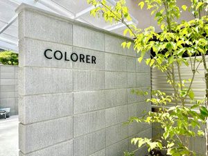 ＣＯＬＯＲＥＲ A0103号-13
